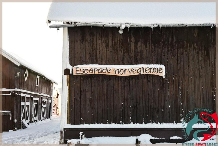 Escapade Norvegienne Tolga Exterior foto