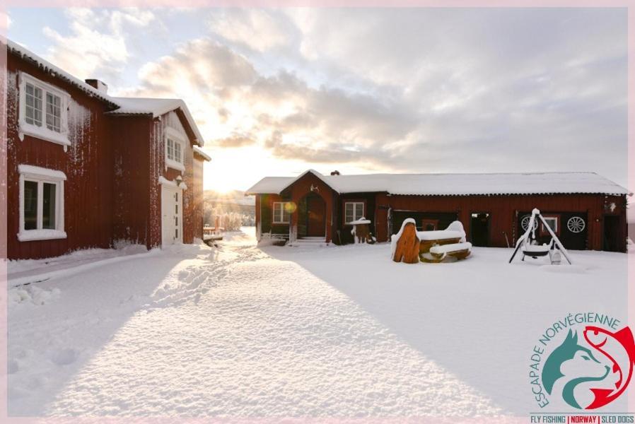 Escapade Norvegienne Tolga Exterior foto