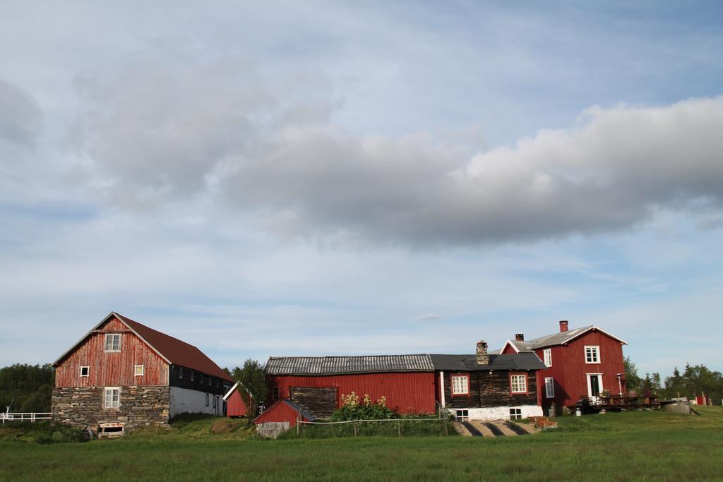 Escapade Norvegienne Tolga Exterior foto